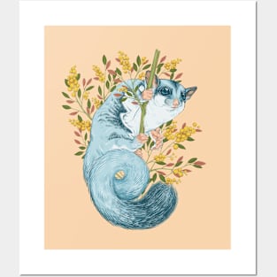 Sugar Glider Tee Posters and Art